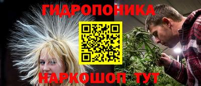 трава Кимры