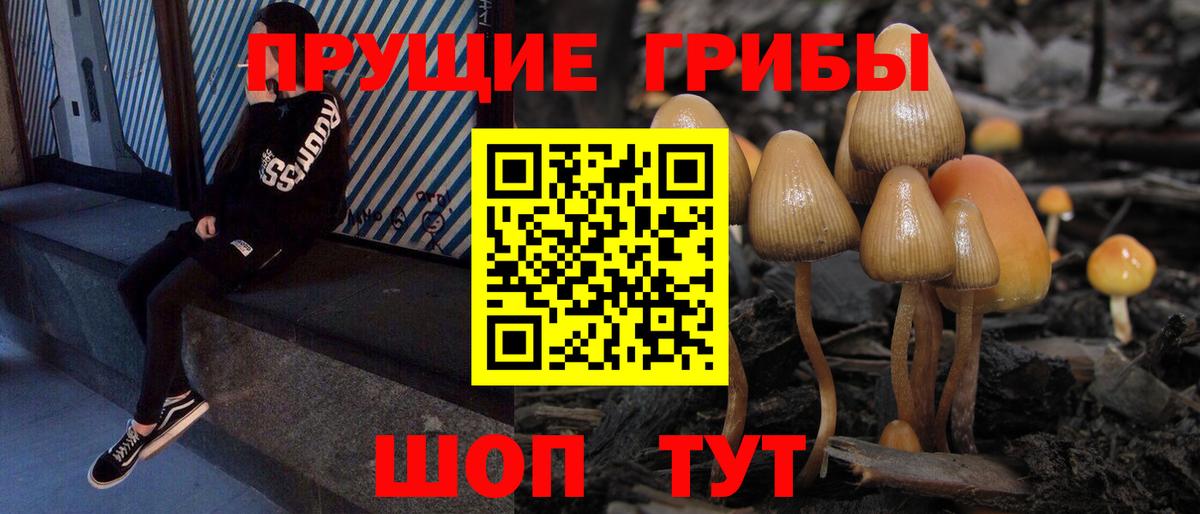 Псилоцибиновые грибы мухоморы Крымск