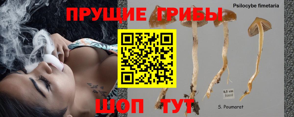 Галлюциногенные грибы GOLDEN TEACHER  Галлюциногенные грибы Cubensis  Крымск  Вход с VPN 
